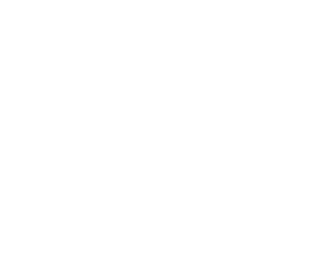 LIONDOMES lion head